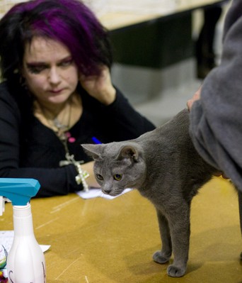 Kes-Kis helmikuussa 2008 Siltalan kuvaus